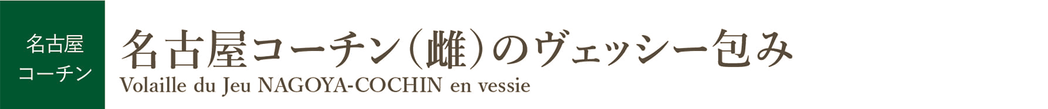 名古屋コーチン（雌）のヴェッシー包み