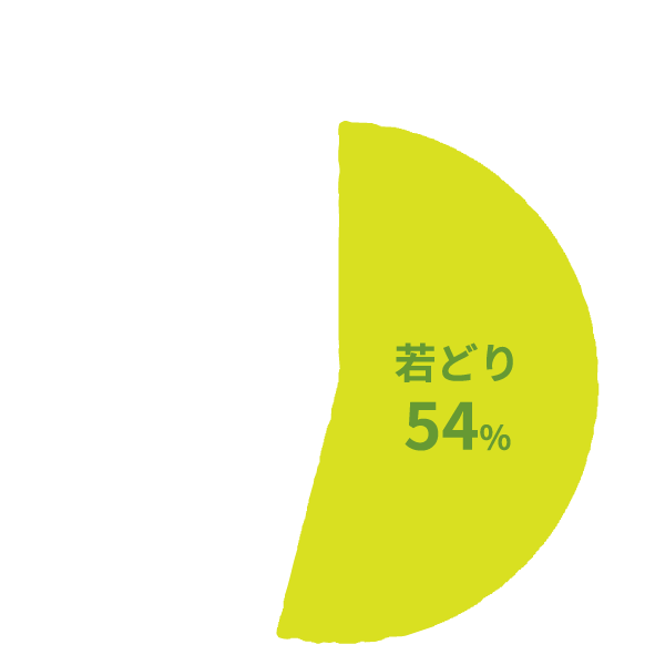 若どり54%